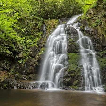 Apple Valley Hideaway, 1089 Of Free Attraction Tickets For Each Paid Day, Dollywood And More! Pigeon Forge Εξωτερικό φωτογραφία