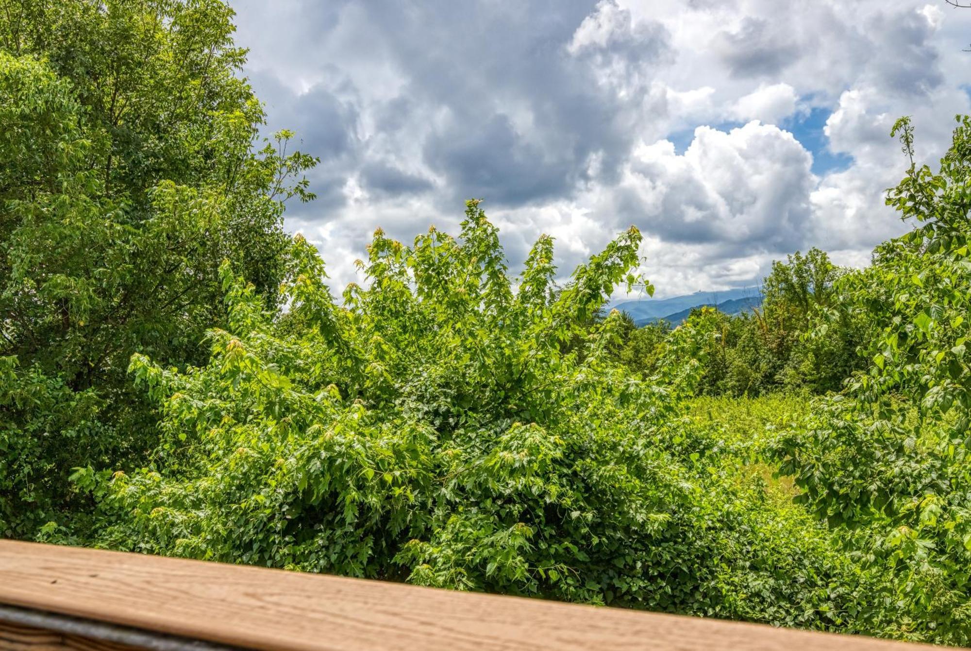 Apple Valley Hideaway, 1089 Of Free Attraction Tickets For Each Paid Day, Dollywood And More! Pigeon Forge Εξωτερικό φωτογραφία