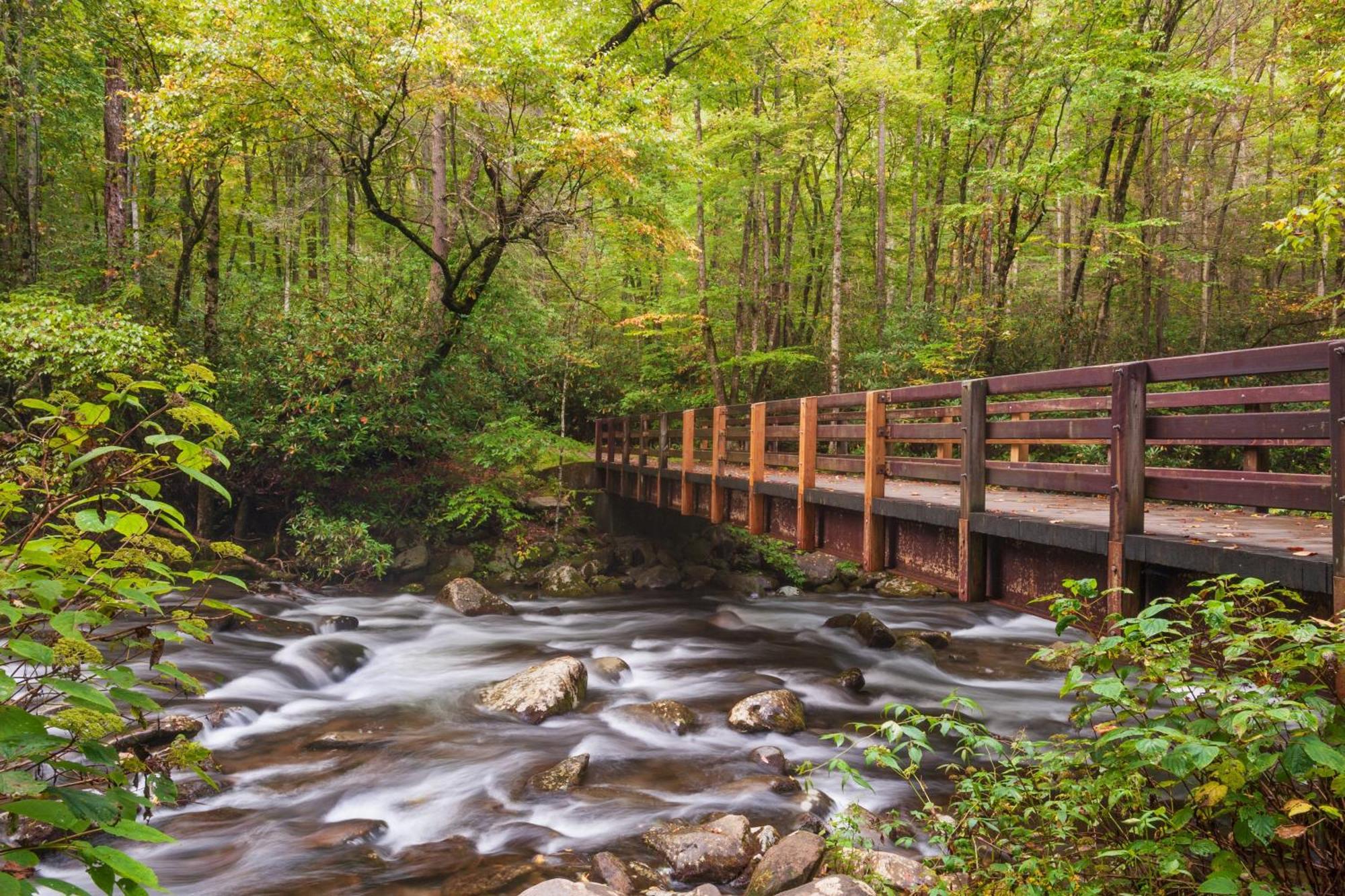 Apple Valley Hideaway, 1089 Of Free Attraction Tickets For Each Paid Day, Dollywood And More! Pigeon Forge Εξωτερικό φωτογραφία