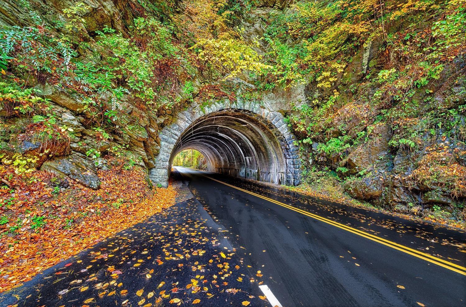 Apple Valley Hideaway, 1089 Of Free Attraction Tickets For Each Paid Day, Dollywood And More! Pigeon Forge Εξωτερικό φωτογραφία
