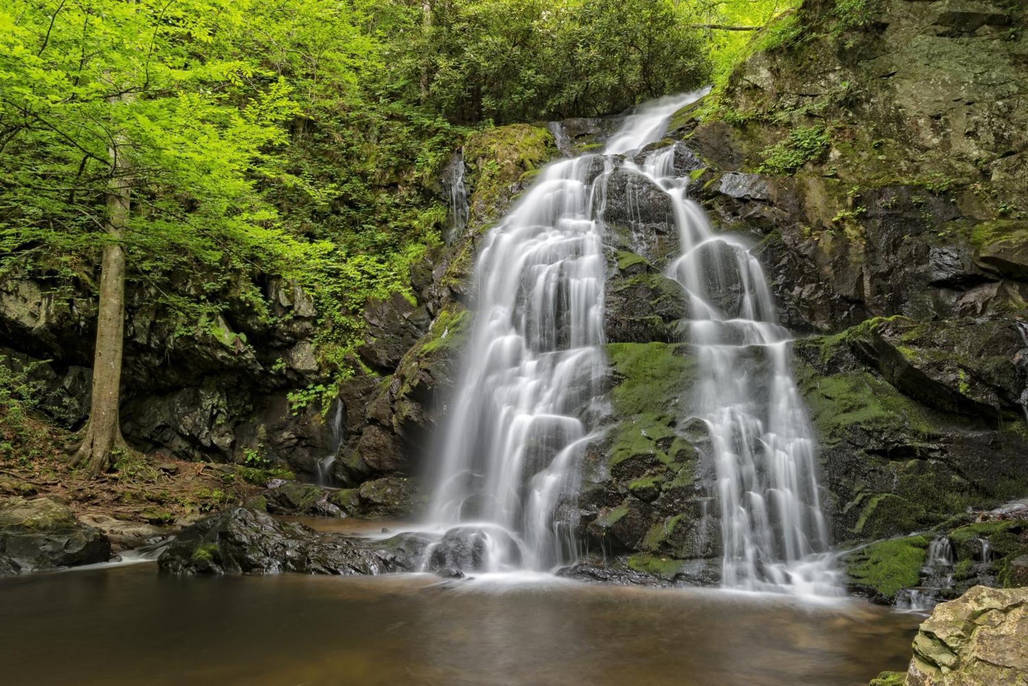 Apple Valley Hideaway, 1089 Of Free Attraction Tickets For Each Paid Day, Dollywood And More! Pigeon Forge Εξωτερικό φωτογραφία