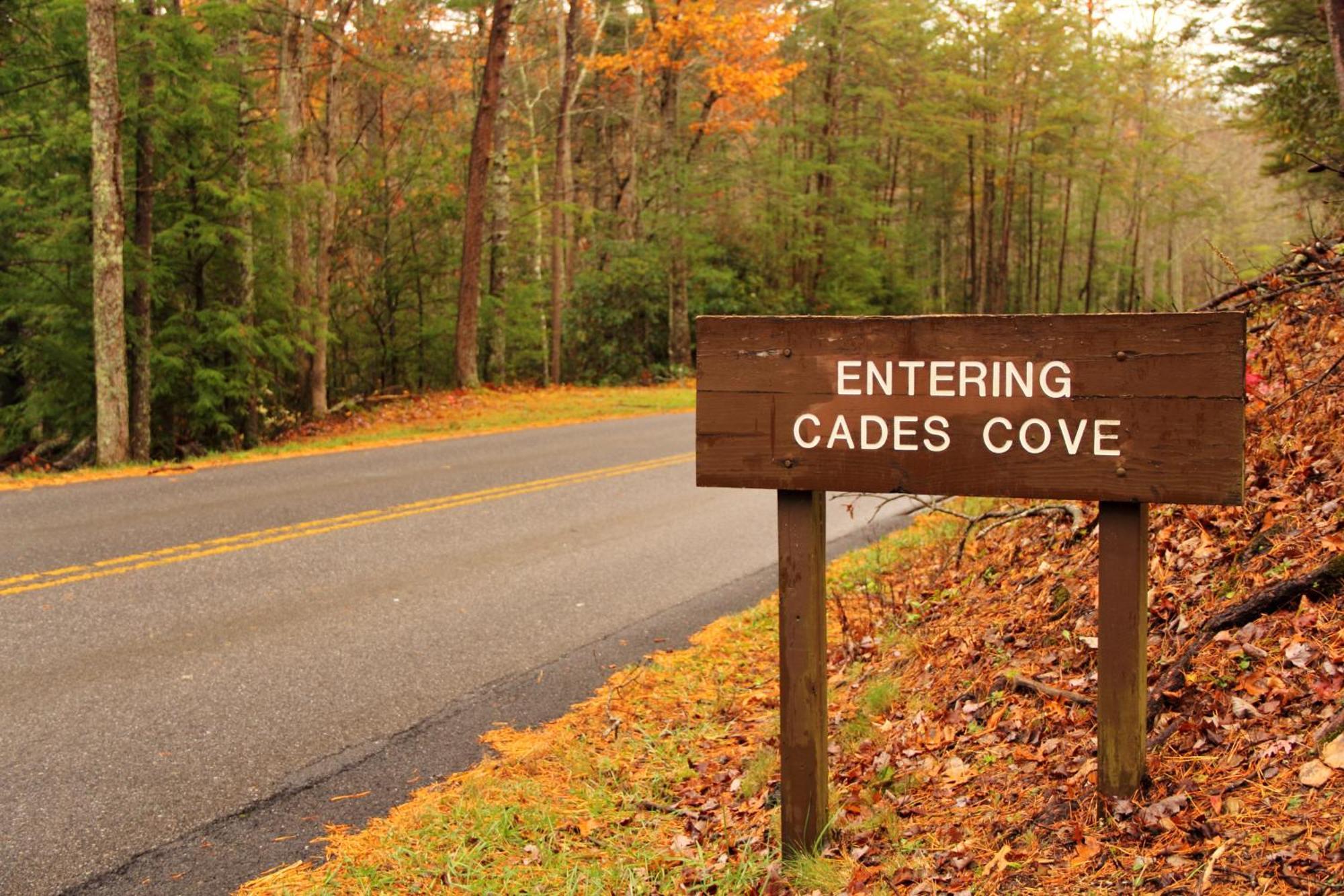 Apple Valley Hideaway, 1089 Of Free Attraction Tickets For Each Paid Day, Dollywood And More! Pigeon Forge Εξωτερικό φωτογραφία